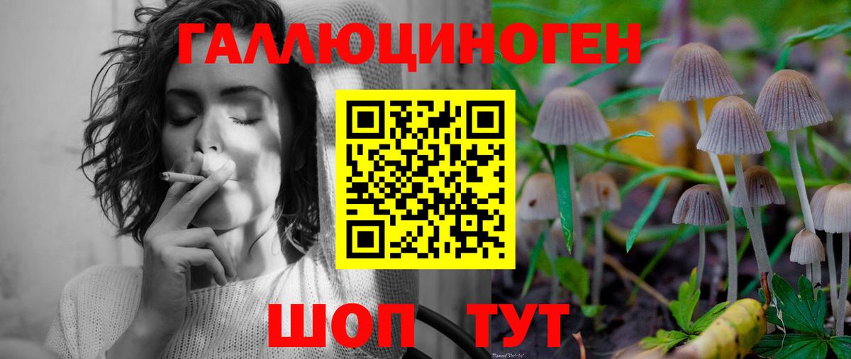 Псилоцибиновые грибы Cubensis  Вход с VPN  Лиски 
